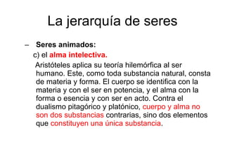 La jerarquía de seres Seres animados:  c) el   alma intelectiva. Aristóteles aplica su teoría hilemórfica al ser humano. Este, como toda substancia natural, consta de materia y forma. El cuerpo se identifica con la materia y con el ser en potencia, y el alma con la forma o esencia y con ser en acto. Contra el dualismo pitagórico y platónico,  cuerpo y alma no son dos substancias  contrarias, sino dos elementos que  constituyen una única substancia . 