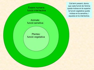 Éssers humans:
funció intel·lectiva

Animals:
funció sensitiva

Plantes:
funció vegetativa

Cal tenir present, doncs,
que cada funció de l’ànima
queda inclosa en la superior:
la funció vegetativa queda
inclosa en la sensitiva, i
aquesta en la intel·lectiva.

 