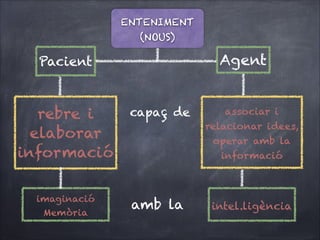 ENTENIMENT
(NOUS)

Agent

Pacient

rebre i
elaborar
informació

capaç de

imaginació
Memòria

amb la

associar i
relacionar idees,
operar amb la
informació

intel.ligència

 