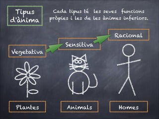 Tipus
d'ànima

Cada tipus té les seves funcions
pròpies i les de les ànimes inferiors.

Racional

Sensitiva
Vegetativa

Plantes

Animals

Homes

 