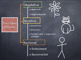 Vegetativa
Nutrició
Reproducció

Tres tipus
d'ànima

Sensitiva

Sensacions
Emocions
Permet rebre i respondre
estímuls

Racional

Enteniment
Racionalitat

 