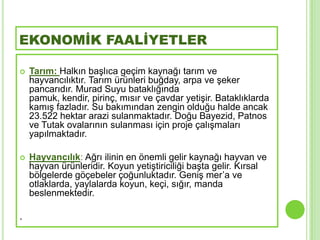 EKONOMİK FAALİYETLER

   Tarım: Halkın baĢlıca geçim kaynağı tarım ve
    hayvancılıktır. Tarım ürünleri buğday, arpa ve Ģeker
    pancarıdır. Murad Suyu bataklığında
    pamuk, kendir, pirinç, mısır ve çavdar yetiĢir. Bataklıklarda
    kamıĢ fazladır. Su bakımından zengin olduğu halde ancak
    23.522 hektar arazi sulanmaktadır. Doğu Bayezid, Patnos
    ve Tutak ovalarının sulanması için proje çalıĢmaları
    yapılmaktadır.

   Hayvancılık: Ağrı ilinin en önemli gelir kaynağı hayvan ve
    hayvan ürünleridir. Koyun yetiĢtiriciliği baĢta gelir. Kırsal
    bölgelerde göçebeler çoğunluktadır. GeniĢ mer’a ve
    otlaklarda, yaylalarda koyun, keçi, sığır, manda
    beslenmektedir.

.
 