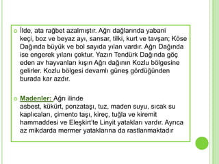    Ġlde, ata rağbet azalmıĢtır. Ağrı dağlarında yabani
    keçi, boz ve beyaz ayı, sansar, tilki, kurt ve tavĢan; Köse
    Dağında büyük ve bol sayıda yılan vardır. Ağrı Dağında
    ise engerek yılanı çoktur. Yazın Tendürk Dağında göç
    eden av hayvanları kıĢın Ağrı dağının Kozlu bölgesine
    gelirler. Kozlu bölgesi devamlı güneĢ gördüğünden
    burada kar azdır.

   Madenler: Ağrı ilinde
    asbest, kükürt, ponzataĢı, tuz, maden suyu, sıcak su
    kaplıcaları, çimento taĢı, kireç, tuğla ve kiremit
    hammaddesi ve EleĢkirt’te Linyit yatakları vardır. Ayrıca
    az mikdarda mermer yataklarına da rastlanmaktadır
 