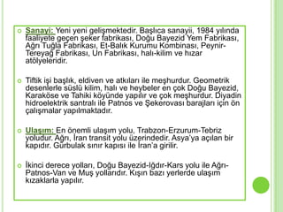    Sanayi: Yeni yeni geliĢmektedir. BaĢlıca sanayii, 1984 yılında
    faaliyete geçen Ģeker fabrikası, Doğu Bayezid Yem Fabrikası,
    Ağrı Tuğla Fabrikası, Et-Balık Kurumu Kombinası, Peynir-
    Tereyağ Fabrikası, Un Fabrikası, halı-kilim ve hızar
    atölyeleridir.

   Tiftik iĢi baĢlık, eldiven ve atkıları ile meĢhurdur. Geometrik
    desenlerle süslü kilim, halı ve heybeler en çok Doğu Bayezid,
    Karaköse ve Tahiki köyünde yapılır ve çok meĢhurdur. Diyadin
    hidroelektrik santralı ile Patnos ve ġekerovası barajları için ön
    çalıĢmalar yapılmaktadır.

   Ulaşım: En önemli ulaĢım yolu, Trabzon-Erzurum-Tebriz
    yoludur. Ağrı, Ġran transit yolu üzerindedir. Asya’ya açılan bir
    kapıdır. Gürbulak sınır kapısı ile Ġran’a girilir.

   Ġkinci derece yolları, Doğu Bayezid-Iğdır-Kars yolu ile Ağrı-
    Patnos-Van ve MuĢ yollarıdır. KıĢın bazı yerlerde ulaĢım
    kızaklarla yapılır.
 