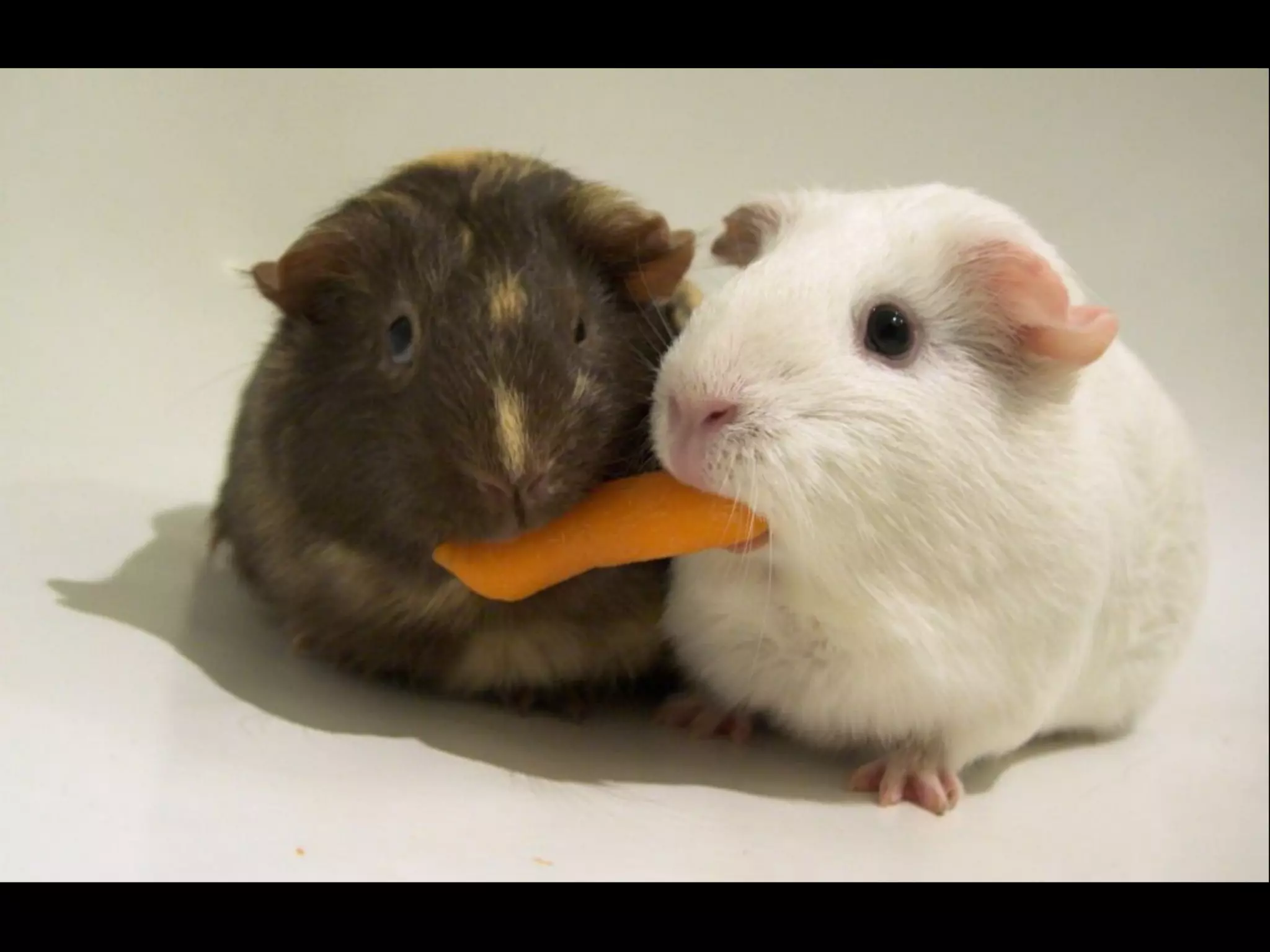 Presentation to NewhouseSU 