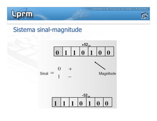 Sistema sinal-magnitude
 
