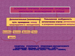 ОСНОВНЫЕ ПРИЧИНЫ УСКОРЕНИЯ ПРОВЕДЕНИЯ
                ИМПУЛЬСОВ ВОЗБУЖДЕНИЯ В СЕРДЦЕ


      Дополнительные (аномальные)  Повышенная возбудимость
        пути проведения между    эктопических очагов ритмогенеза
      предсердиями и желудочками и ускорение проведения импульса


Венкебаха   Бахмана   Джеймса   Кента


      другие




             СИНДРОМЫ УСКОРЕННОГО ПРЕДСЕРДНО-ЖЕЛУДОЧКОВОГО
              ПРОВЕДЕНИЯ (ВОЛЬФА –ПАРКИНСОНА – УАЙТА;
            КЛЕРКА – ЛЕВИ – КРИСТЕСКО; ЛАУНА – ГЕНОНТА – ЛЕВИНА)
 
