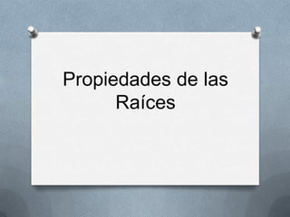 Raíces