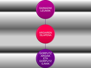 GAINAZAK
LEUNAK

ARGIAREN
ISLAPENA

GORPUTZ
ARGIAK
ETA
GORPUTZ
ILINAK

 