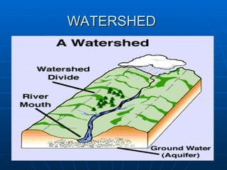 WATERSHED  