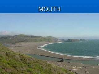 MOUTH 