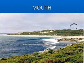 MOUTH 