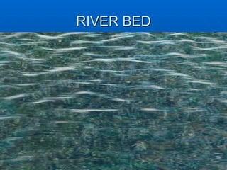 RIVER BED 
