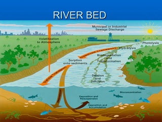 RIVER BED  