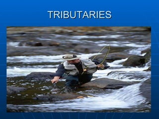 TRIBUTARIES 