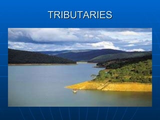 TRIBUTARIES 