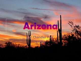 Arizona  By: Chandler Paul 2/7/11 