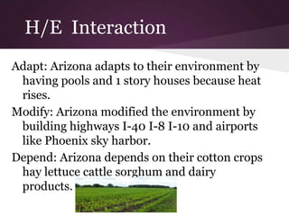 H/E Interaction
Adapt: Arizona adapts to their environment by
 having pools and 1 story houses because heat
 rises.
Modify: Arizona modified the environment by
 building highways I-40 I-8 I-10 and airports
 like Phoenix sky harbor.
Depend: Arizona depends on their cotton crops
 hay lettuce cattle sorghum and dairy
 products.
 