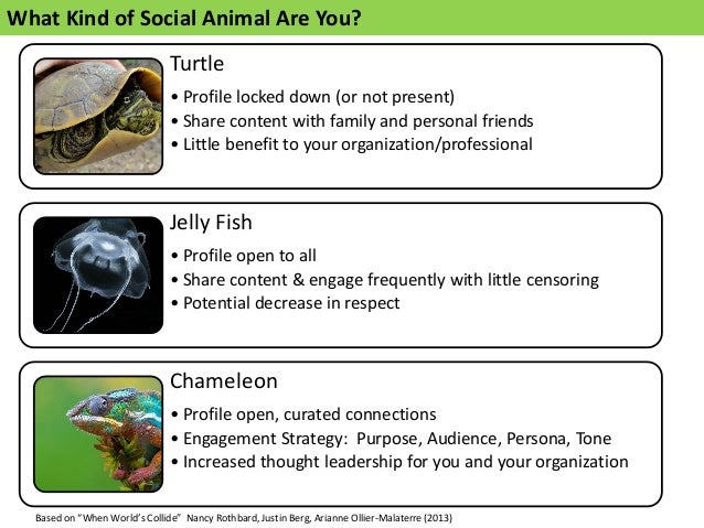 Increase Reach and Capacity
 