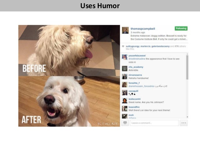 Creators
Critics
Collectors
Joiners
Spectators
Adopt
Pet
Donate
to
Shelter
Volunteer at
Shelter
Take photos at
Shelter and...