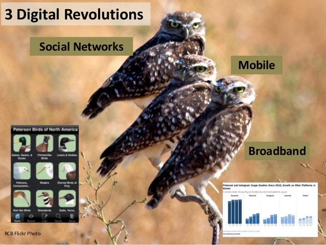 Embrace Organizational and Individual Networks
 