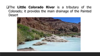 ❑The Little Colorado River is a tributary of the
Colorado; it provides the main drainage of the Painted
Desert
 