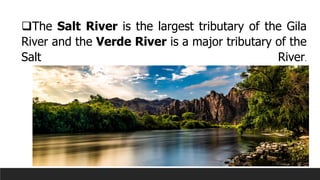 ❑The Salt River is the largest tributary of the Gila
River and the Verde River is a major tributary of the
Salt River.
 