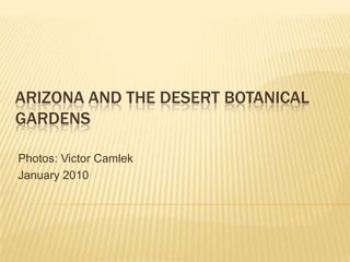 Arizona And the Desert Botanical Gardens Photos: Victor Camlek January 2010 