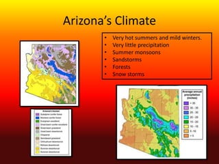 Arizona climate and landscapes | PPTX
