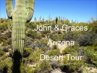 John & Graces Arizona Desert Tour 
