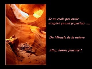 Je ne crois pas avoir
exagéré quand je parlais ….


Du Miracle de la nature


Allez, bonne journée !
 