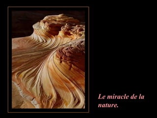 Le miracle de la
nature.
 
