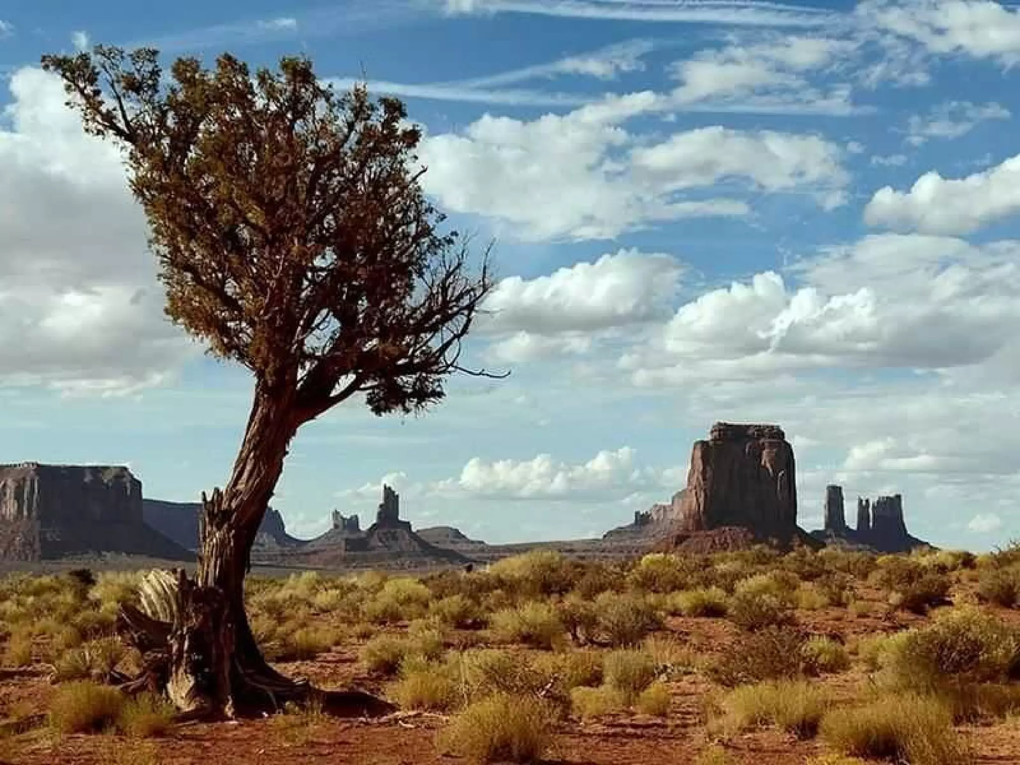 Arizona edmmorricone2.ando