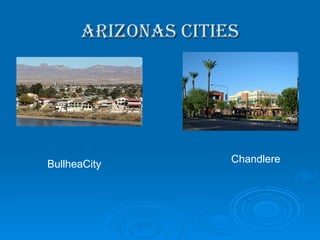 Arizonas cities Chandlere BullheaCity 