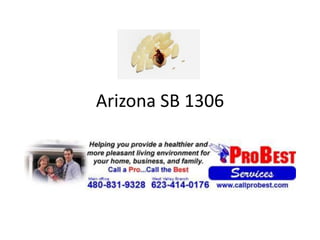 Arizona SB 1306 