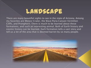 Arizona state features