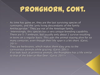 Arizona state features