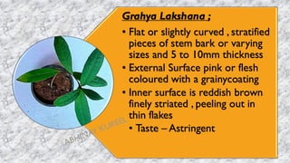 Grahya Lakshana ;
• Flat or slightly curved , stratified
pieces of stem bark or varying
sizes and 5 to 10mm thickness
• External Surface pink or flesh
coloured with a grainycoating
• Inner surface is reddish brown
finely striated , peeling out in
thin flakes
• Taste – Astringent
 