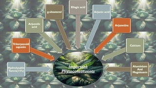 Important
Phytoconstituents
Hydrolysable
Tannis(15%)
Triterpenoid
saponin
Arjunolic
acid
g-sitosterol
Ellagic acid
Arjunic acid
Arjunetinc
Calcium
Aluminium
And
Magnisuem
 