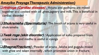 Amayika PrayogaTherapeutic Administration)
❑Hrdroga (Cardiac disease) : Arjuna and godhuma are mixed
together and cooked with oil ,ghee,jageery and milk.This is beneficial in
cardiac disorder
❑Shukrameha (Spermaturia) :The kwath of arjuna is very useful in
shukrameha
❑Twak roga (skin disorder) : Application of kalka prepared from
arjuna twak and madhu is useful in vyanga
❑Bhagna(Fracture) : Powder of arjuna , laksha and guggulu mixed
with ghee and taken internally , which promotes union in fracture.
 