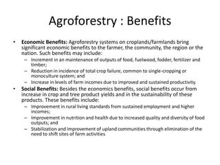Agroforestry : Benefits
• Economic Benefits: Agroforestry systems on croplands/farmlands bring
significant economic benefits to the farmer, the community, the region or the
nation. Such benefits may include:
– Increment in an maintenance of outputs of food, fuelwood, fodder, fertilizer and
timber;
– Reduction in incidence of total crop failure, common to single-cropping or
monoculture system; and
– Increase in levels of farm incomes due to improved and sustained productivity.
• Social Benefits: Besides the economics benefits, social benefits occur from
increase in crop and tree product yields and in the sustainability of these
products. These benefits include:
– Improvement in rural living standards from sustained employment and higher
incomes;
– Improvement in nutrition and health due to increased quality and diversity of food
outputs; and
– Stabilization and improvement of upland communities through elimination of the
need to shift sites of farm activities.
 