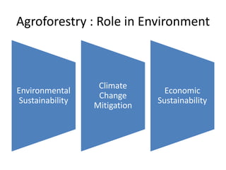 Agroforestry : Role in Environment
Environmental
Sustainability
Climate
Change
Mitigation
Economic
Sustainability
 