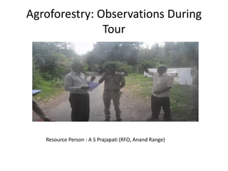 Agroforestry: Observations During
Tour
Resource Person : A S Prajapati (RFO, Anand Range)
 