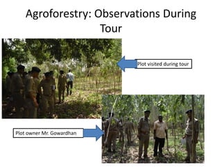 Agroforestry: Observations During
Tour
Plot visited during tour
Plot owner Mr. Gowardhan
 