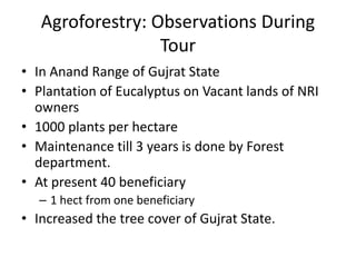 Agroforestry: Observations During
Tour
• In Anand Range of Gujrat State
• Plantation of Eucalyptus on Vacant lands of NRI
owners
• 1000 plants per hectare
• Maintenance till 3 years is done by Forest
department.
• At present 40 beneficiary
– 1 hect from one beneficiary
• Increased the tree cover of Gujrat State.
 