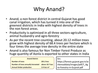 Why Anand?
• Anand, a non forest district in central Gujarat has good
canal irrigation, which has turned it into one of the
greenest districts in India with highest density of trees in
the non forest areas.
• Productivity is optimised in all three sectors-agriculture,
animal husbandry and agro-forestry
• As per the recent tree counting, about 20.12 million trees
grow with highest density of 68.4 trees per hectare which is
four times the average tree density in the entire state
• Anand is also famous for Non Timber Forest Produce as
huge quantity of Aonla is exported to other states in India
Src:
https://forests.gujarat.gov.in/w
ritereaddata/images/pdf/7_Ag
ro-Forestry-in-Gujarat.pdf
 