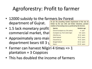Agroforestry: Profit to farmer
• 12000 subsidy to the farmers by Forest
department of Gujrat.
• 1.5 lack monetary profit of Eucalyptus in
commercial market, that too goes to farmer
• Approximately zero maintenance cost. (Forest
department bears till 3 years)
• Farmer can harvest Nilgiri 4 times => 1
plantation + 3 Coppices
• This has doubled the income of farmers
 