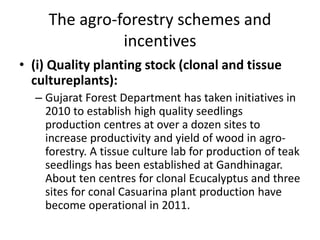 The agro-forestry schemes and
incentives
• (i) Quality planting stock (clonal and tissue
cultureplants):
– Gujarat Forest Department has taken initiatives in
2010 to establish high quality seedlings
production centres at over a dozen sites to
increase productivity and yield of wood in agro-
forestry. A tissue culture lab for production of teak
seedlings has been established at Gandhinagar.
About ten centres for clonal Ecucalyptus and three
sites for conal Casuarina plant production have
become operational in 2011.
 
