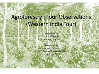 Agroforestry : Tour Observations
(Western India Tour)
Presented to :
C.L. Dhumal Sir
Course Director
Presented By:
Arjun Kushwah
(RFO Trainee Batch 2019-20)
Roll No. 02
 