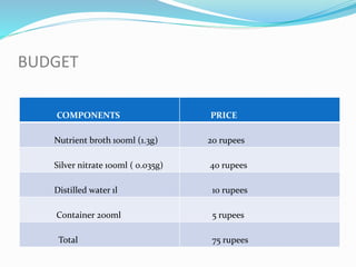 BUDGET
COMPONENTS PRICE
Nutrient broth 100ml (1.3g) 20 rupees
Silver nitrate 100ml ( 0.035g) 40 rupees
Distilled water 1l 10 rupees
Container 200ml 5 rupees
Total 75 rupees
 
